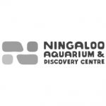 Ningaloo Aquarium & Discovery Centre
